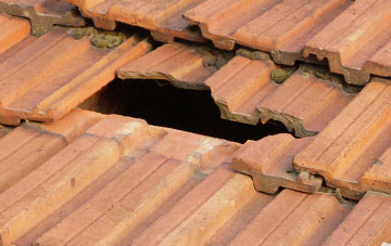 roof repair Stopgate, Devon